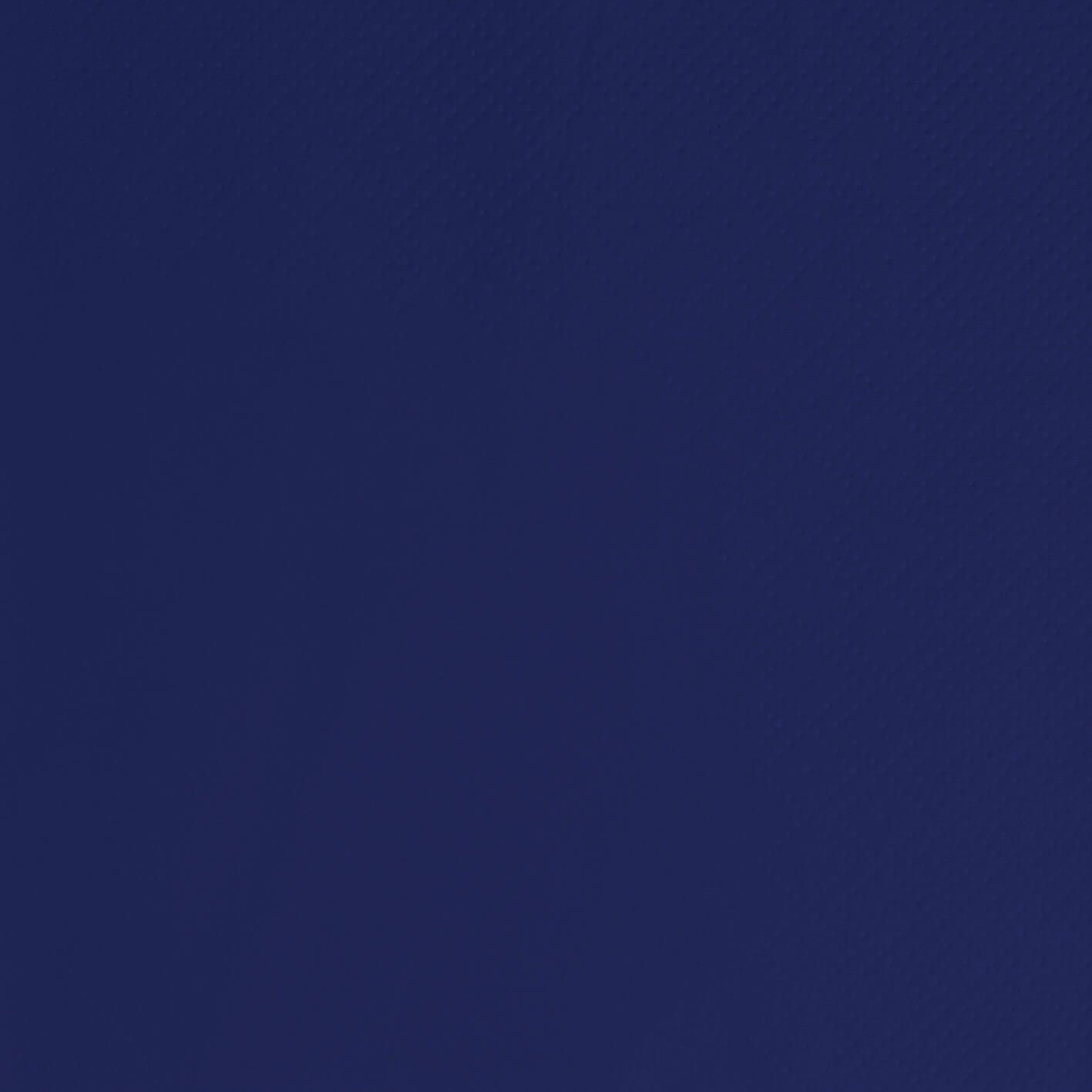 Lunch 2 Ply Napkins - 4 Fold - Navy
