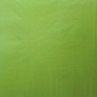 Tablin Airlaid Dinner Napkin - 4 Fold - Kiwi