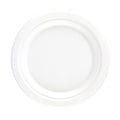 Bagasse Plates - 9"