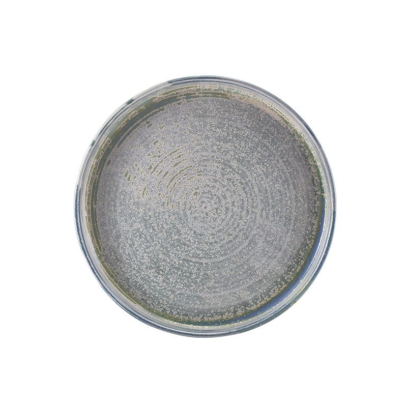 GenWare Terra Porcelain Presentation Plates - 26cm - Seafoam