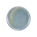 GenWare Terra Porcelain Coupe Plates - 27.5cm - Seafoam