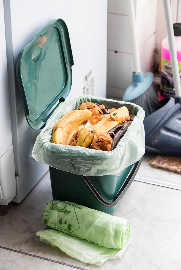 Compostable Food Waste Liner - 7L - Green