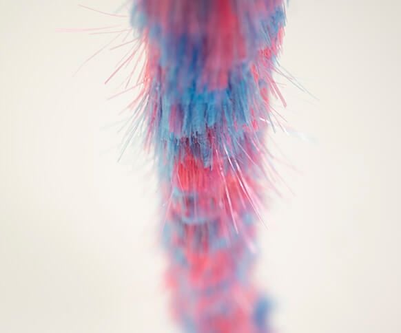 Extendable Cobweb Brush with Handle