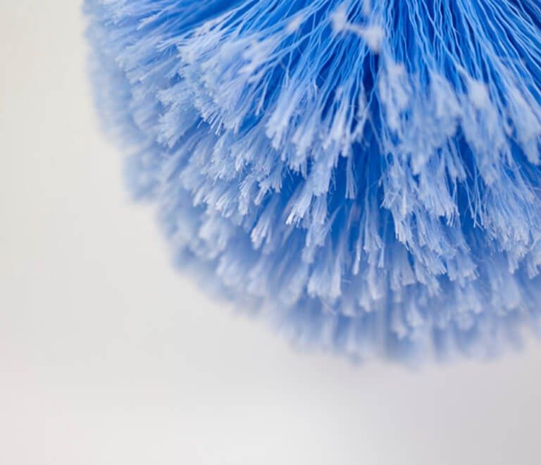 Domed Cobweb Brush with Telescopic Handle