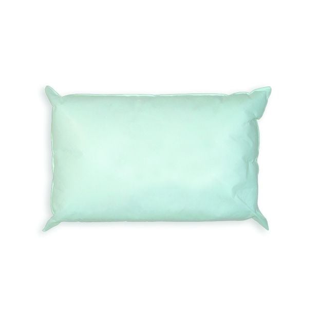TruGuard™ Wipe Clean Pillow