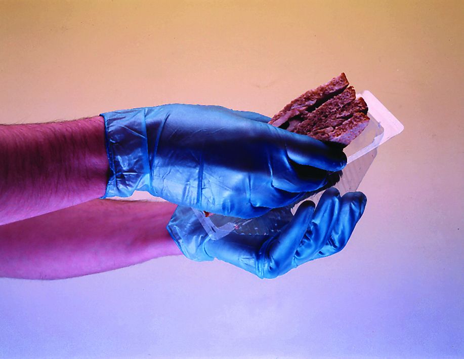 Professional Vinyl Gloves - Powder Free - XL - Blue